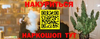 mdpv Лесосибирск
